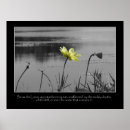 Search for dragonfly quotes art Nature