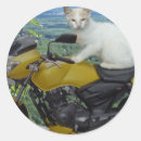 Search for motorbike stickers Cat