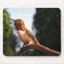 Search for hummingbird mousepads Nature