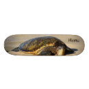 Search for turtle skateboards Coastal