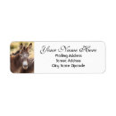 Search for donkeys return address labels Horse
