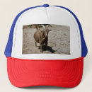 Search for billy goat accessories Farm
