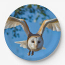 Search for owl paper plates Raptor