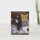 Search for kittens note cards Fun