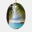 Search for st john christmas tree decorations Usvi