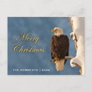 Search for bald eagle christmas cards Alaska