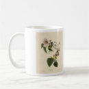 Search for warbler mugs Audubon