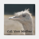 Search for ostrich photography Birds