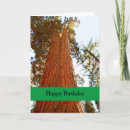 Search for sequoia cards California