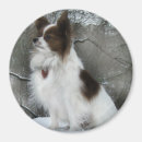 Search for kennel magnets Dog