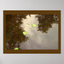Search for float photography Nature