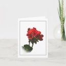 Search for photo drawings cards Botanical
