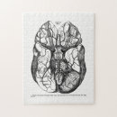 Search for human anatomy puzzles Antique