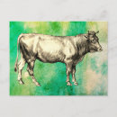 Search for vintage farm postcards Cow