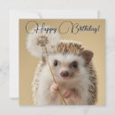 Search for hedgehog cards Animal