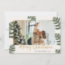 Search for joy christmas cards Greenery