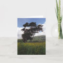 Search for state christmas cards Tree