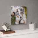Search for australian shepherd puppy art Dog