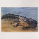 Search for predator puzzles Crocodile