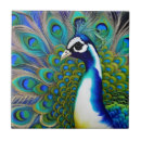 Search for peacock green tiles Colourful