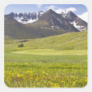 Search for scenic stickers Grass