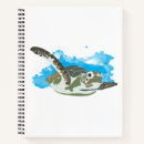 Search for tortoise notebooks Save the turtles