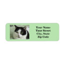 Search for family with cat return address labels Cute