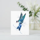 Search for swallow postcards Animals