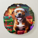 Search for staffy cushions Dog