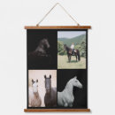 Search for equestrian painting art Horse photography