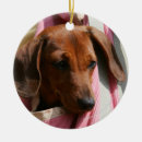Search for miniature dachshund christmas tree decorations Puppy