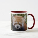 Search for red panda bears mugs Mammal