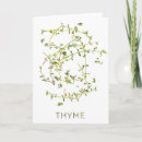 Search for thyme cards Watercolor