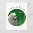 Search for samoyed dog postcards Breed