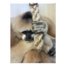 Search for gibbon art Primate
