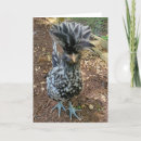 Search for funny chick cards Humour