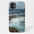 Search for aruba cases Ocean