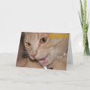 Search for cat comics cards Kitten