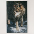 Search for wild wolf puzzles Animal