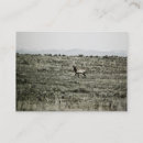 Search for mammal business cards Antlers