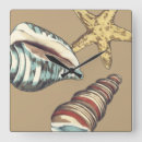 Search for conchs art Starfish