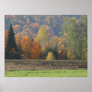 Search for autumn scene posters Trees