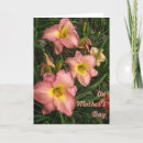 Search for daylilies cards Floral