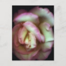 Search for colour imaging postcards Beauty