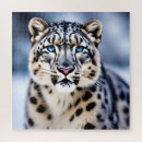 Search for snow leopard puzzles Animal