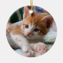 Search for orange and white cat christmas tree decorations Kitten