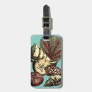 Search for algae accessories Sand dollar