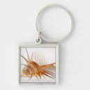 Search for venus key rings Shell