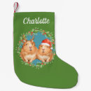 Search for guinea pig christmas stockings Santa