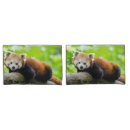 Search for tree branch pillowcases Animal